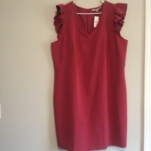 Rose (pink color) Ruffle Sleeves Dress by LOFT